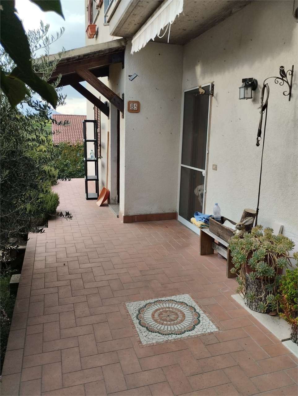 immagine annuncio 6 di 11