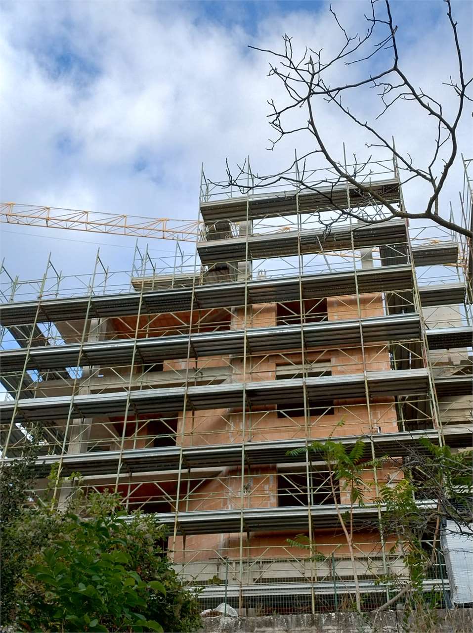 immagine annuncio 3 di 9