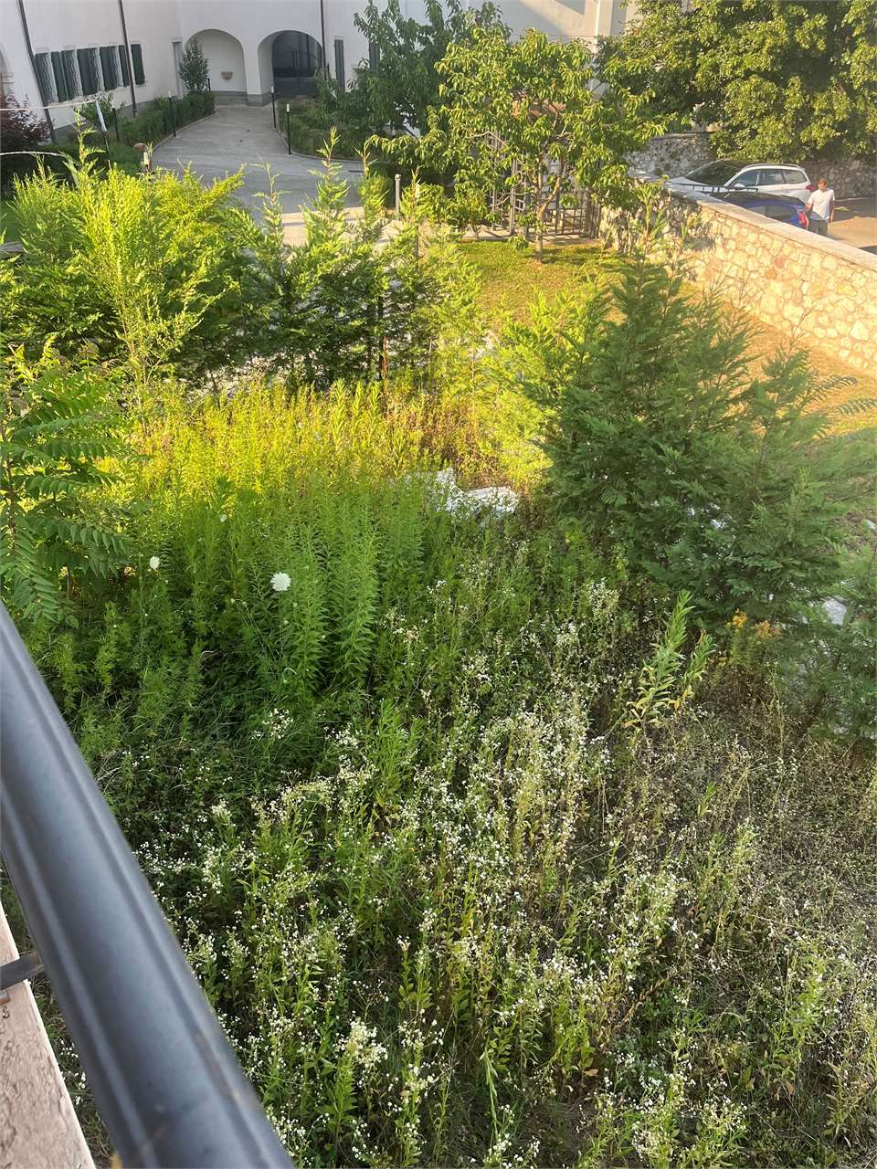 Foto villetta a schiera in vendita a Nogaredo (Trento)