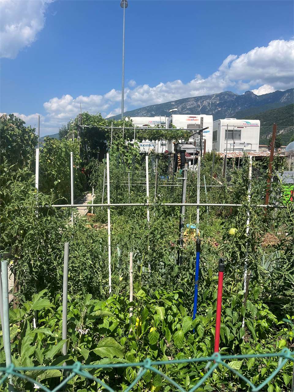 Foto appartamento in vendita a Ala (Trento)