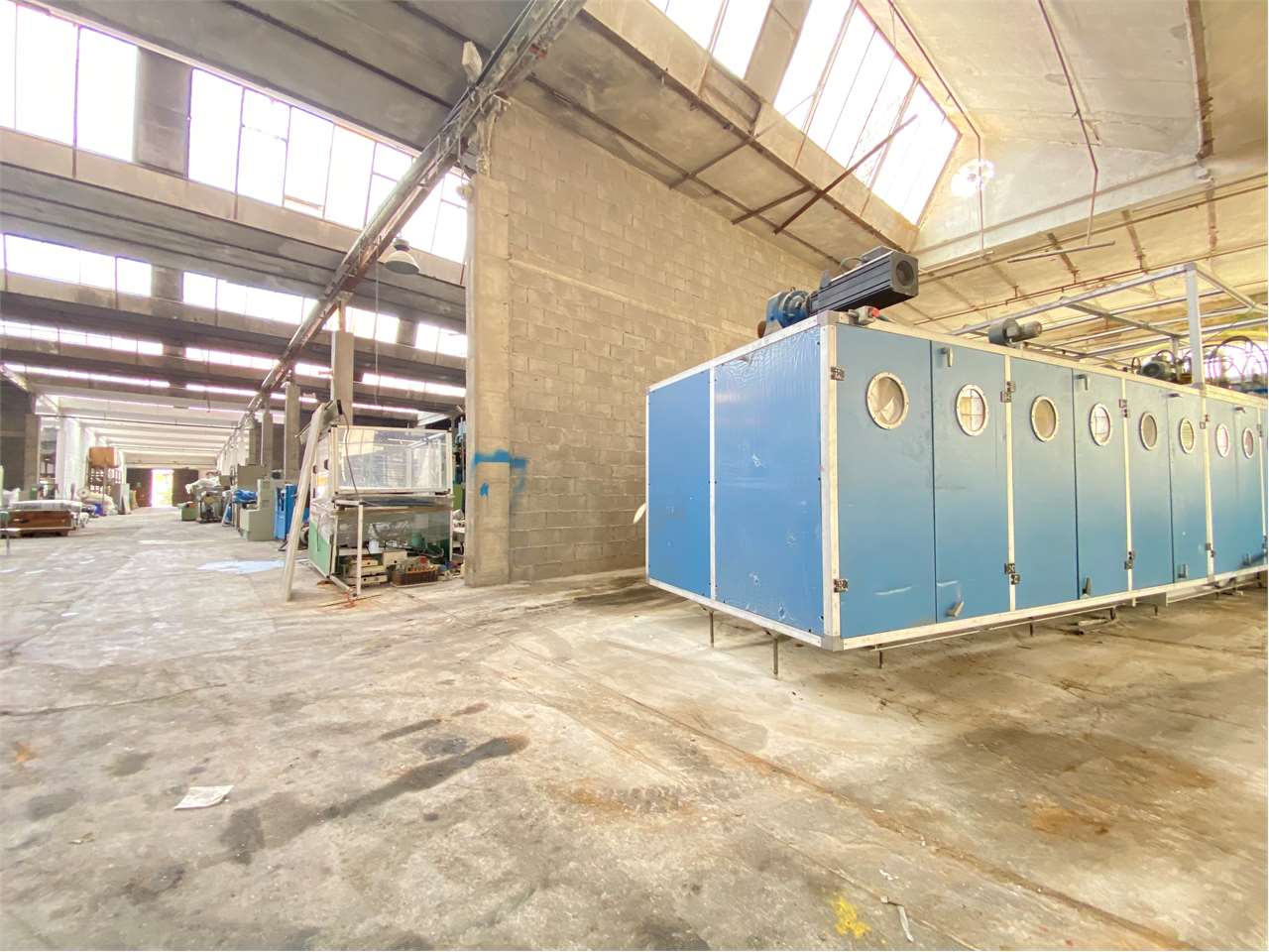 immagine annuncio 6 di 11