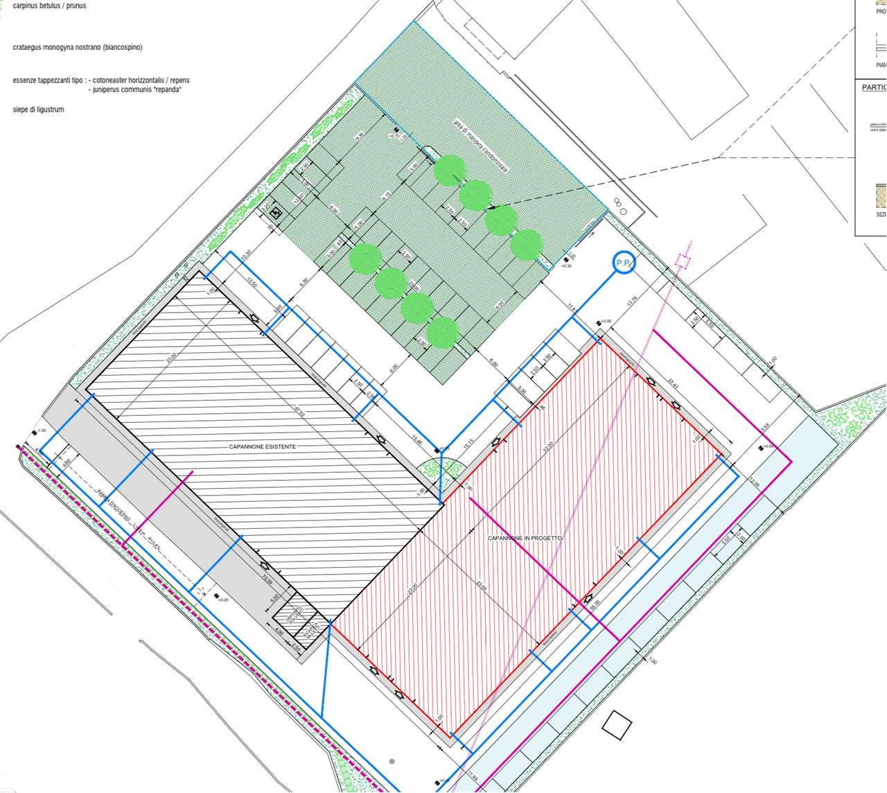 immagine annuncio 12 di 13