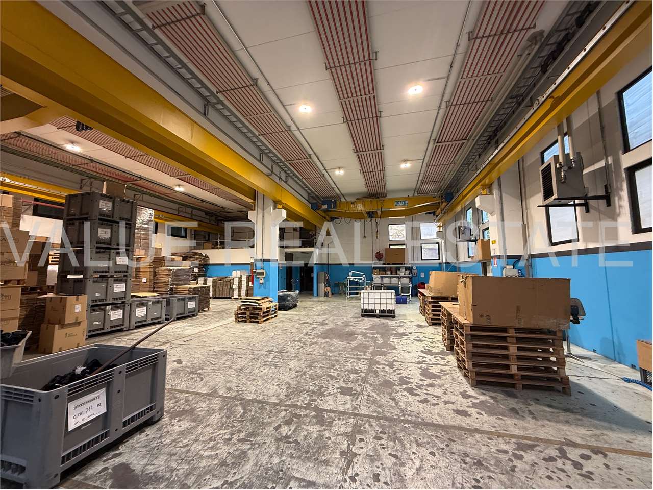 immagine annuncio 13 di 15