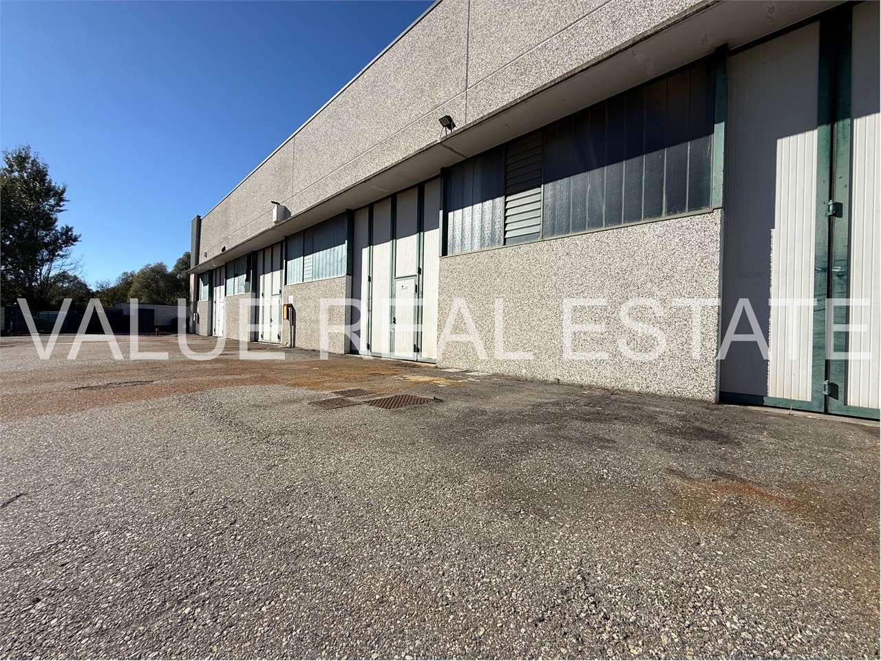 immagine annuncio 4 di 8