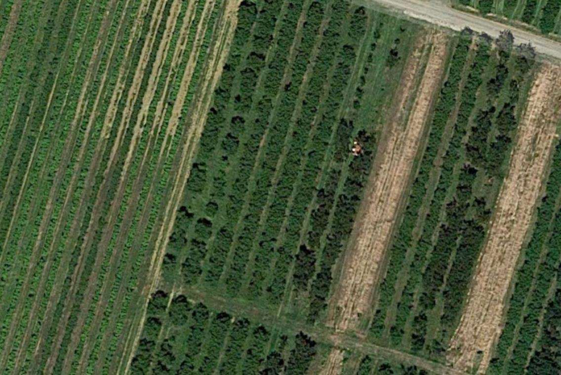 Terreno agricolo in vendita a Vignola (MO)
