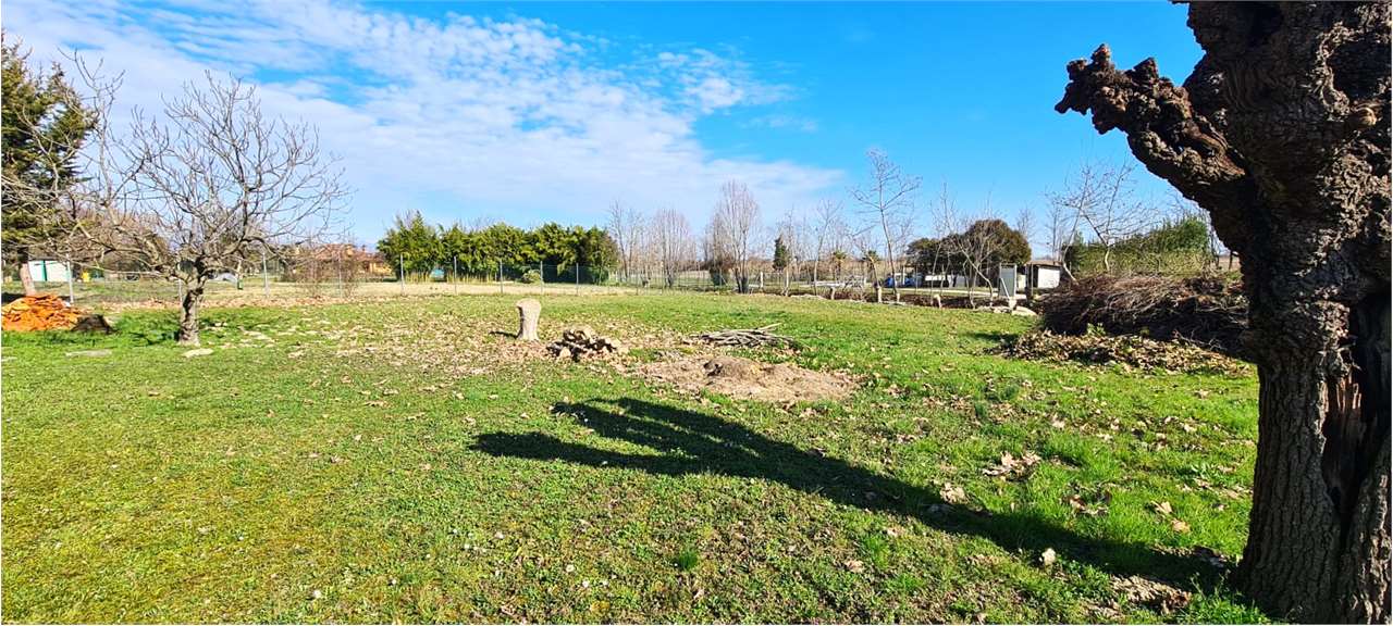 immagine annuncio 5 di 6