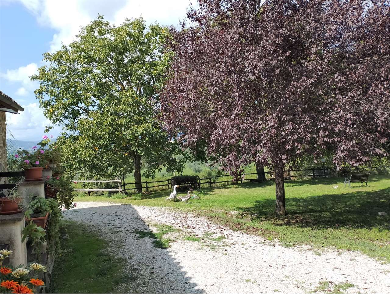 Rustico in vendita a Orvieto (TR)