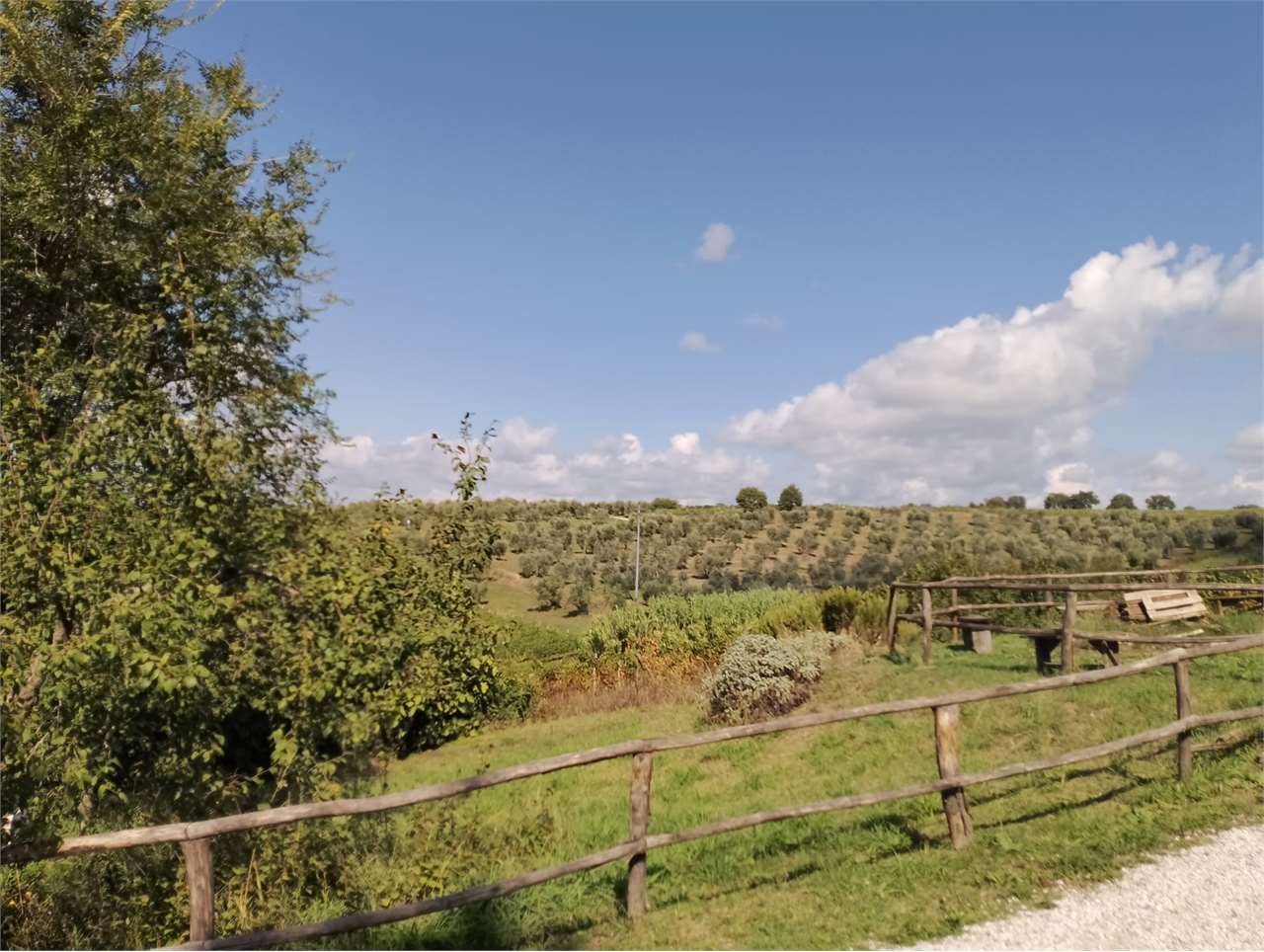 Rustico in vendita a Orvieto (TR)