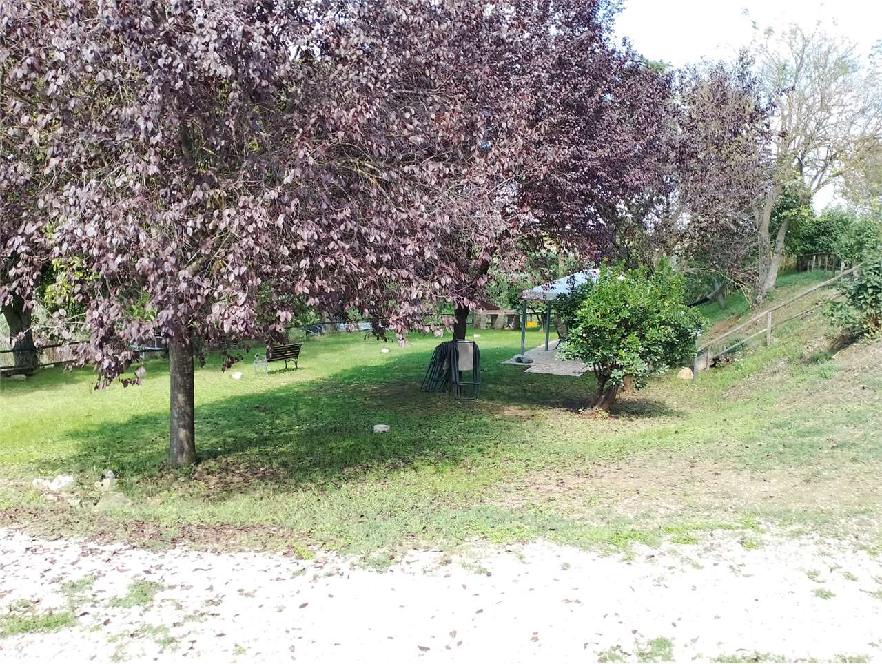 Rustico in vendita a Orvieto (TR)