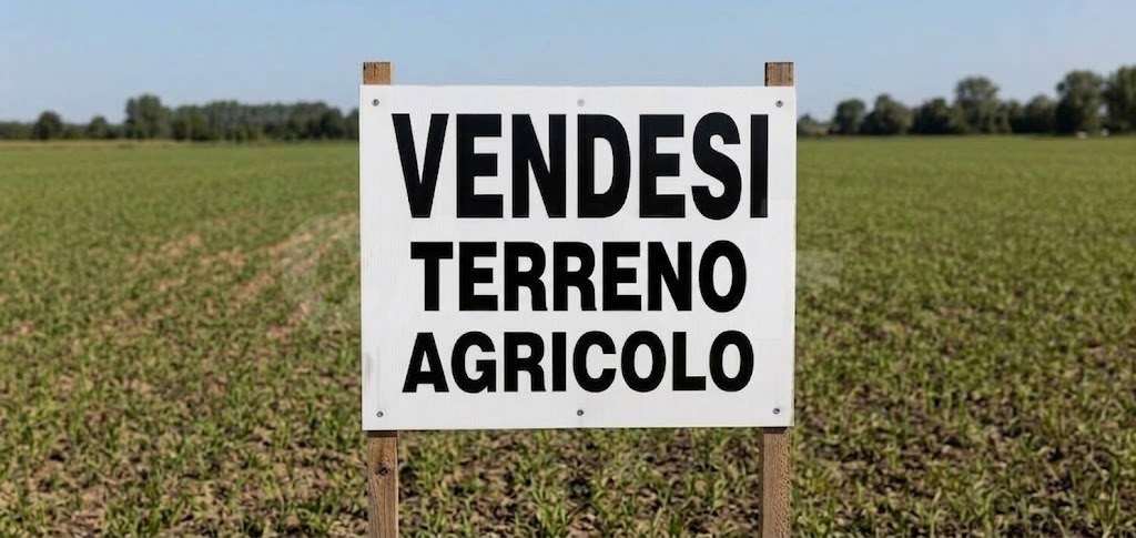 VENDITE Terreni a Casciago – foto 1