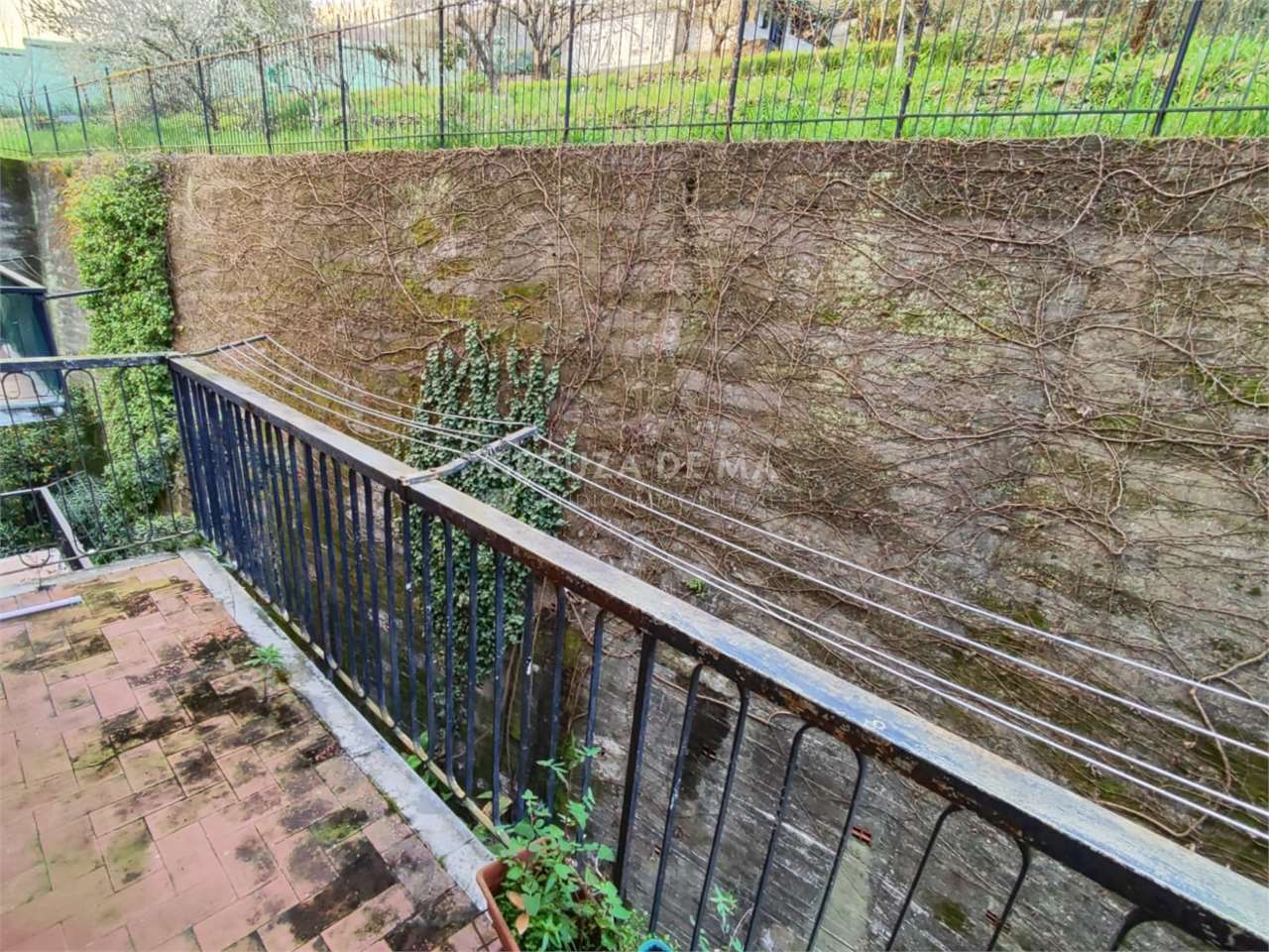 immagine annuncio 7 di 8