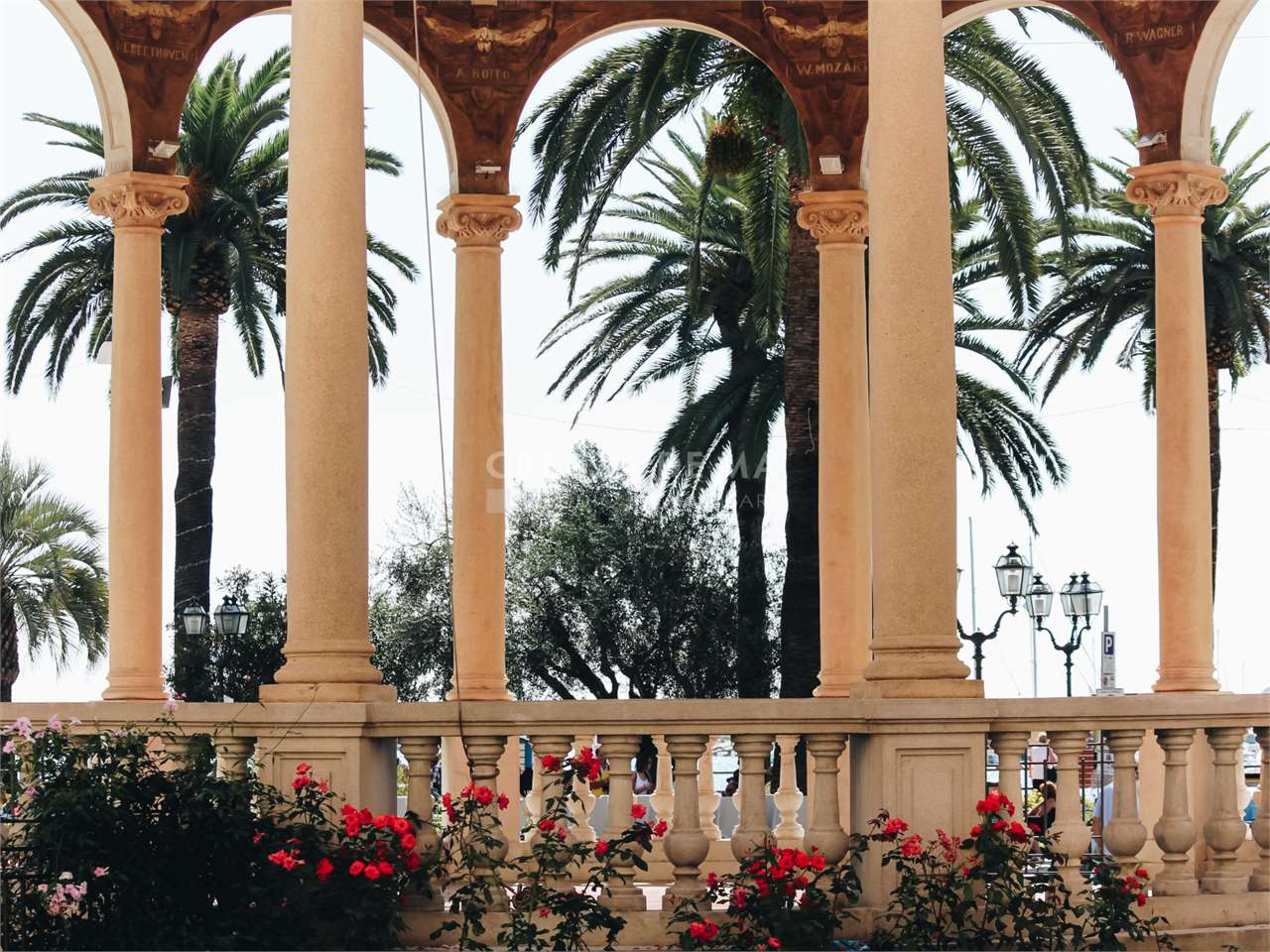 immagine annuncio 3 di 14