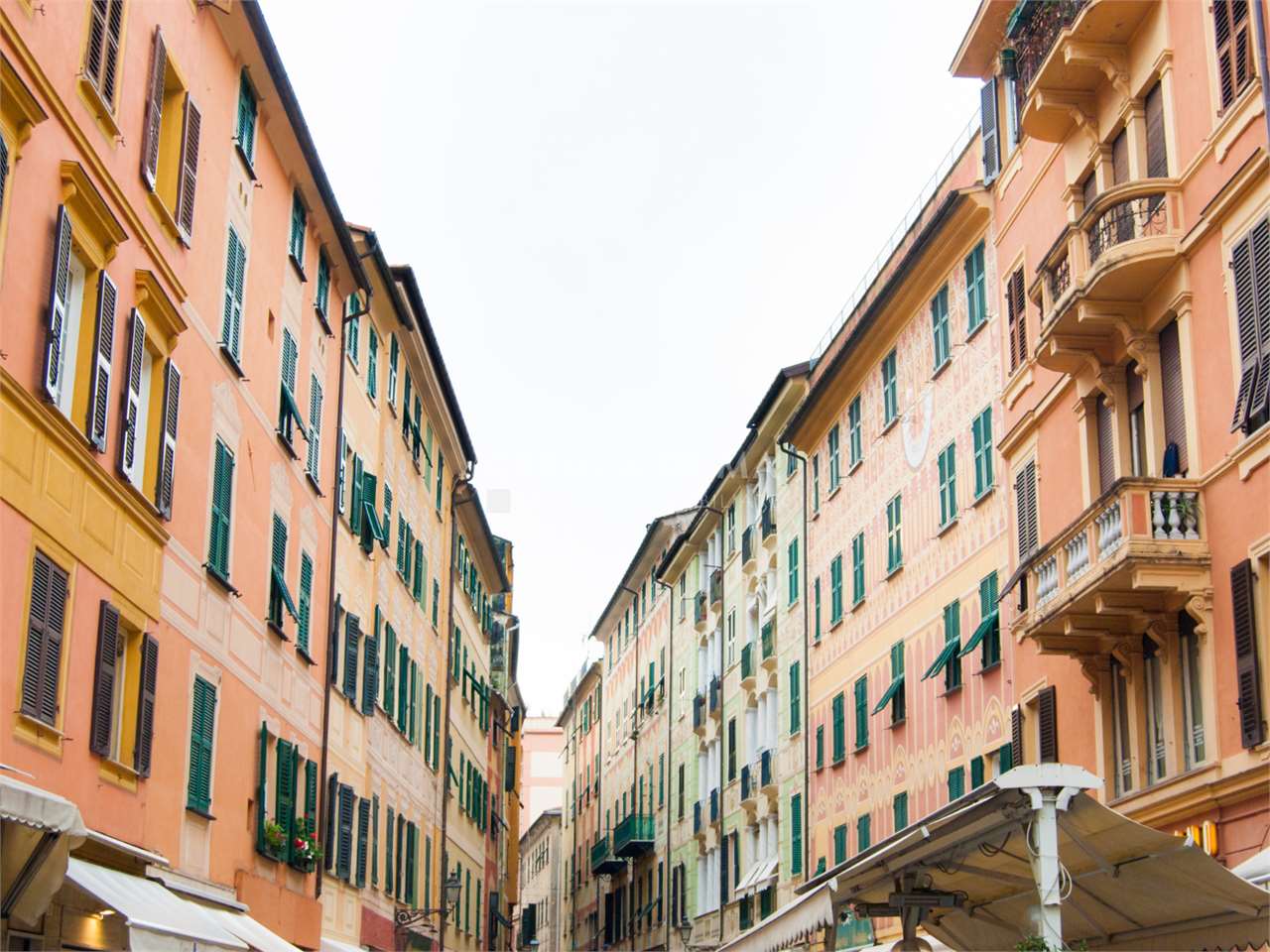 immagine annuncio 5 di 14