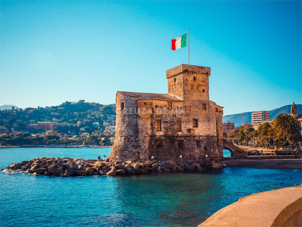 immagine annuncio 7 di 14