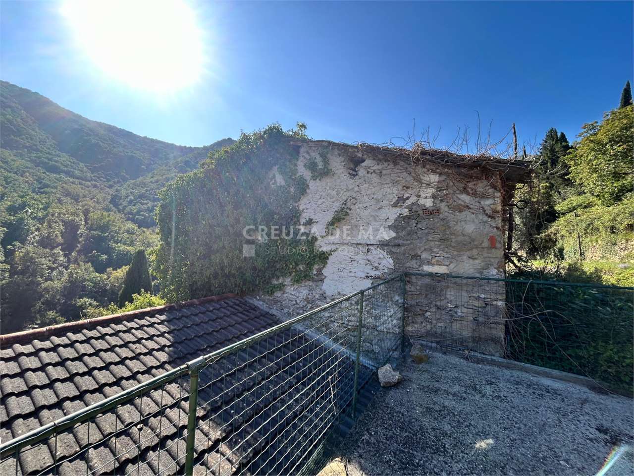 immagine annuncio 6 di 12