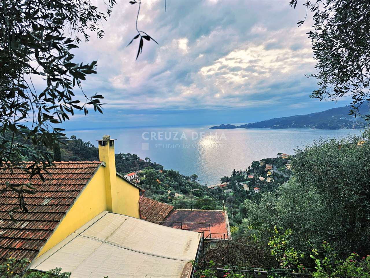 immagine annuncio 1 di 6