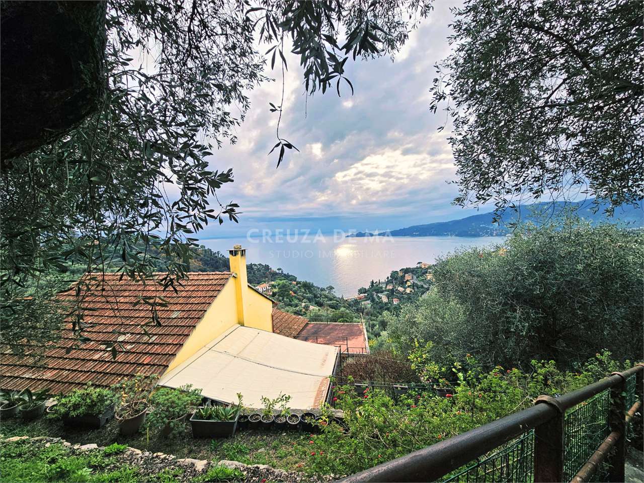 immagine annuncio 5 di 6