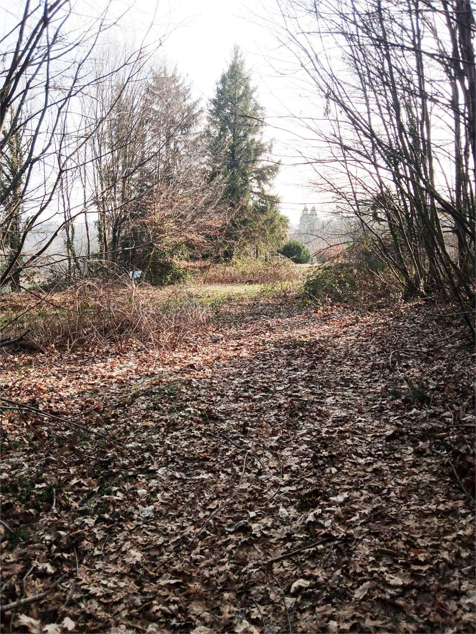 Viggiù Vendita Terreno Edificabile