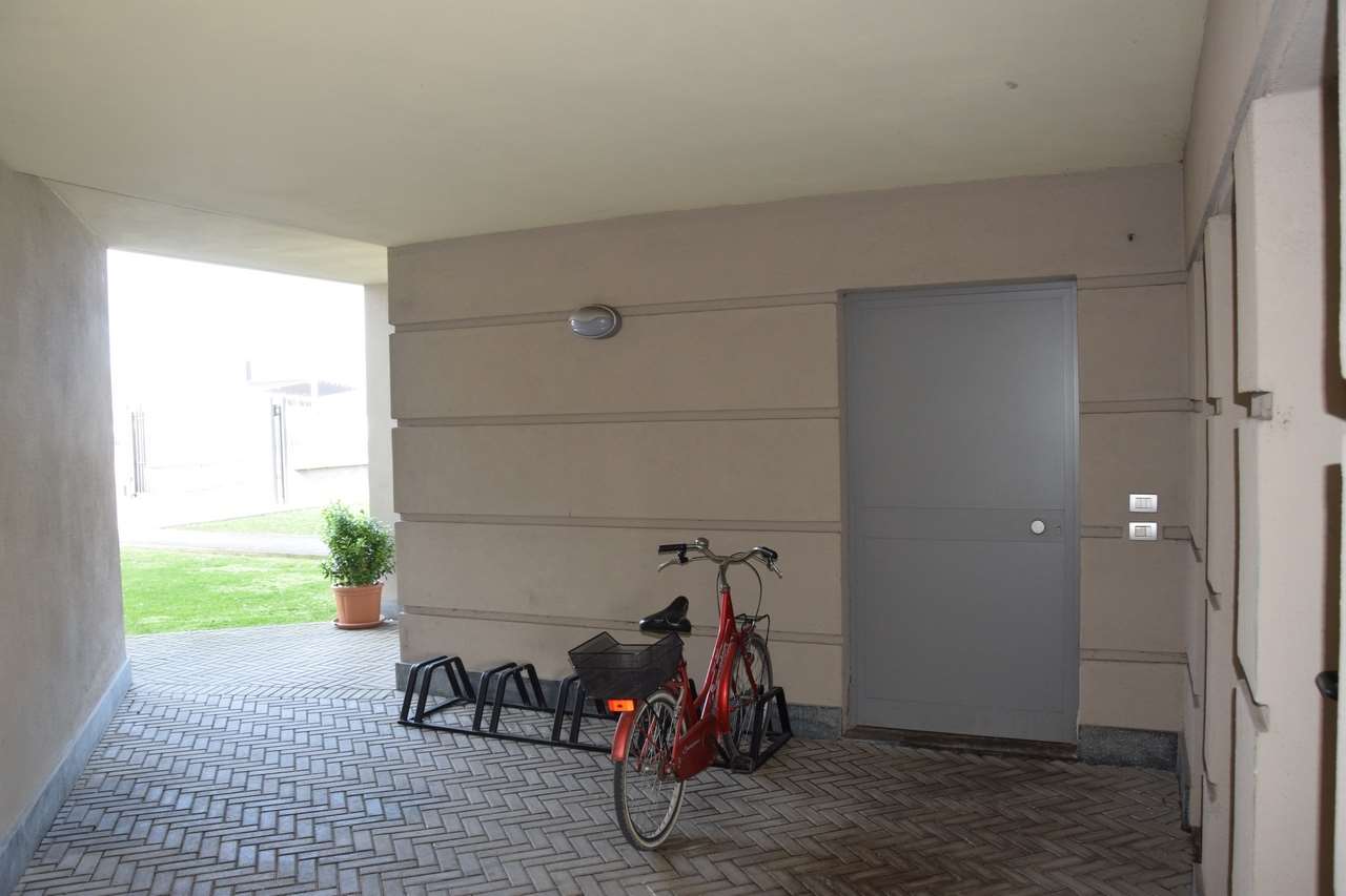 immagine annuncio 11 di 14