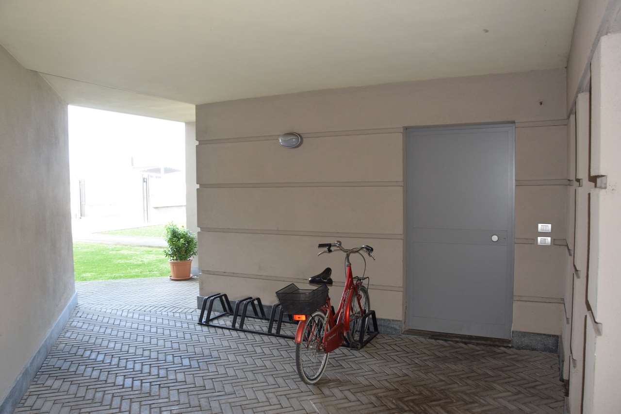 immagine annuncio 12 di 14