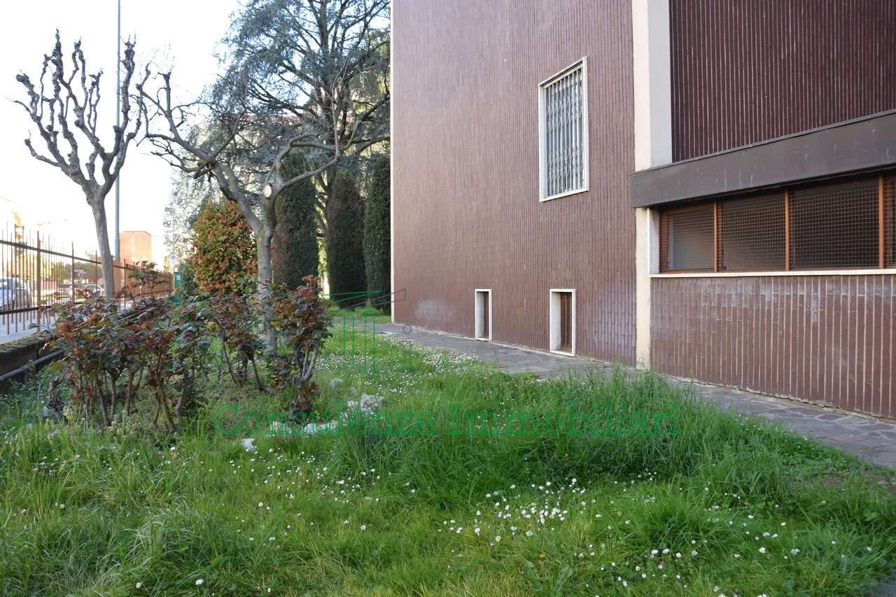 immagine annuncio 11 di 13