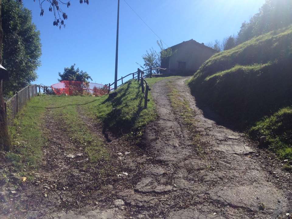immagine annuncio 9 di 12