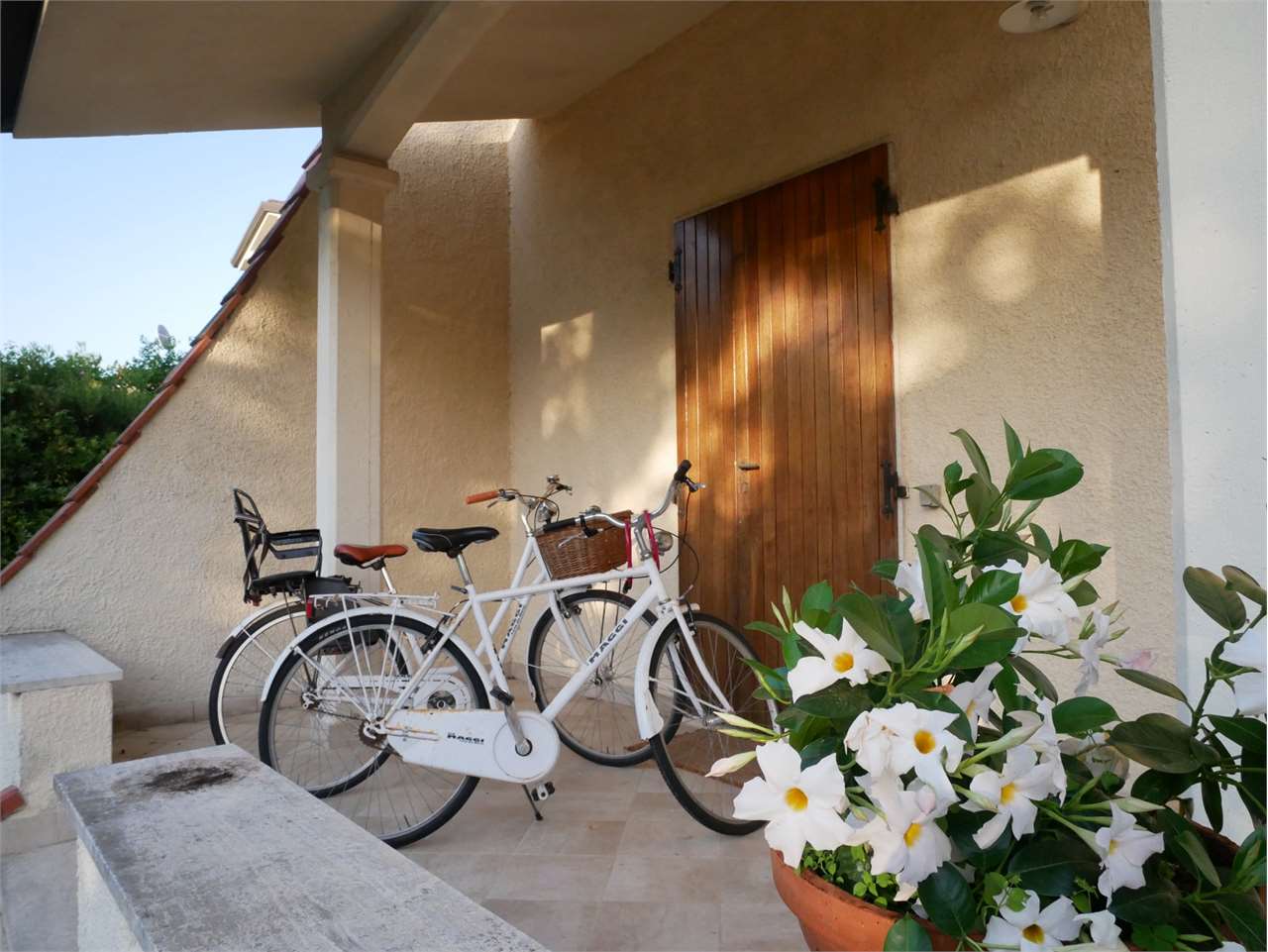 Forte dei Marmi Affitto Posto Auto