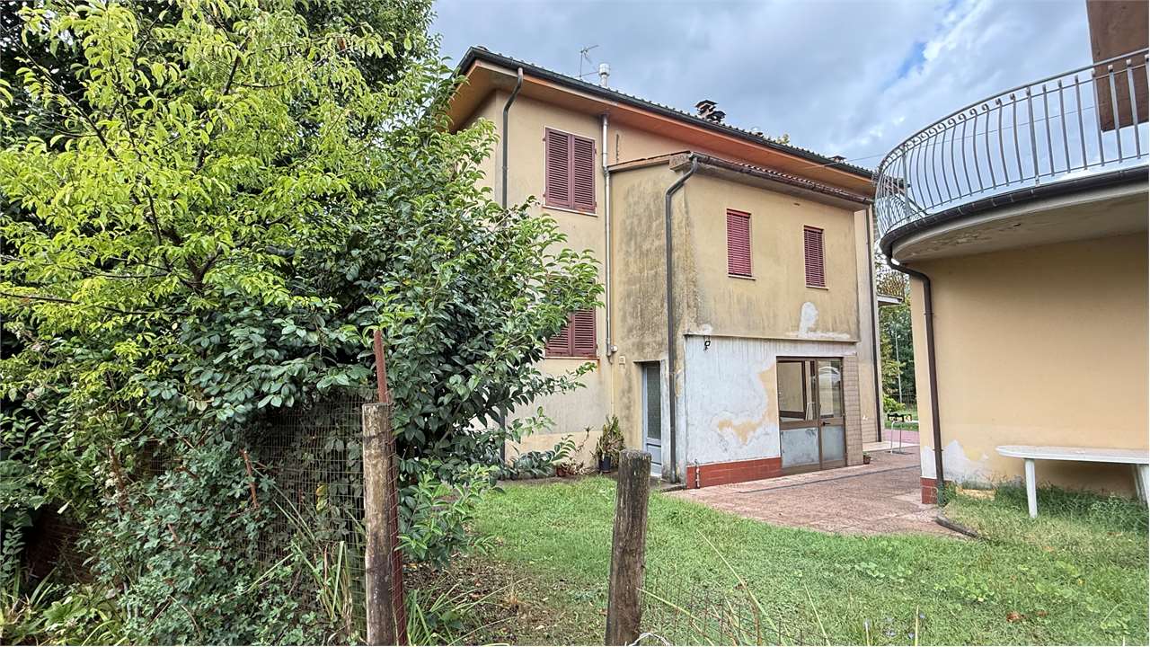 fotogallery