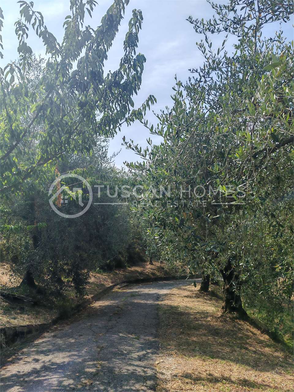 fotogallery
