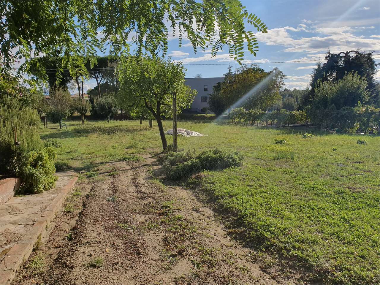 immagine annuncio 11 di 15