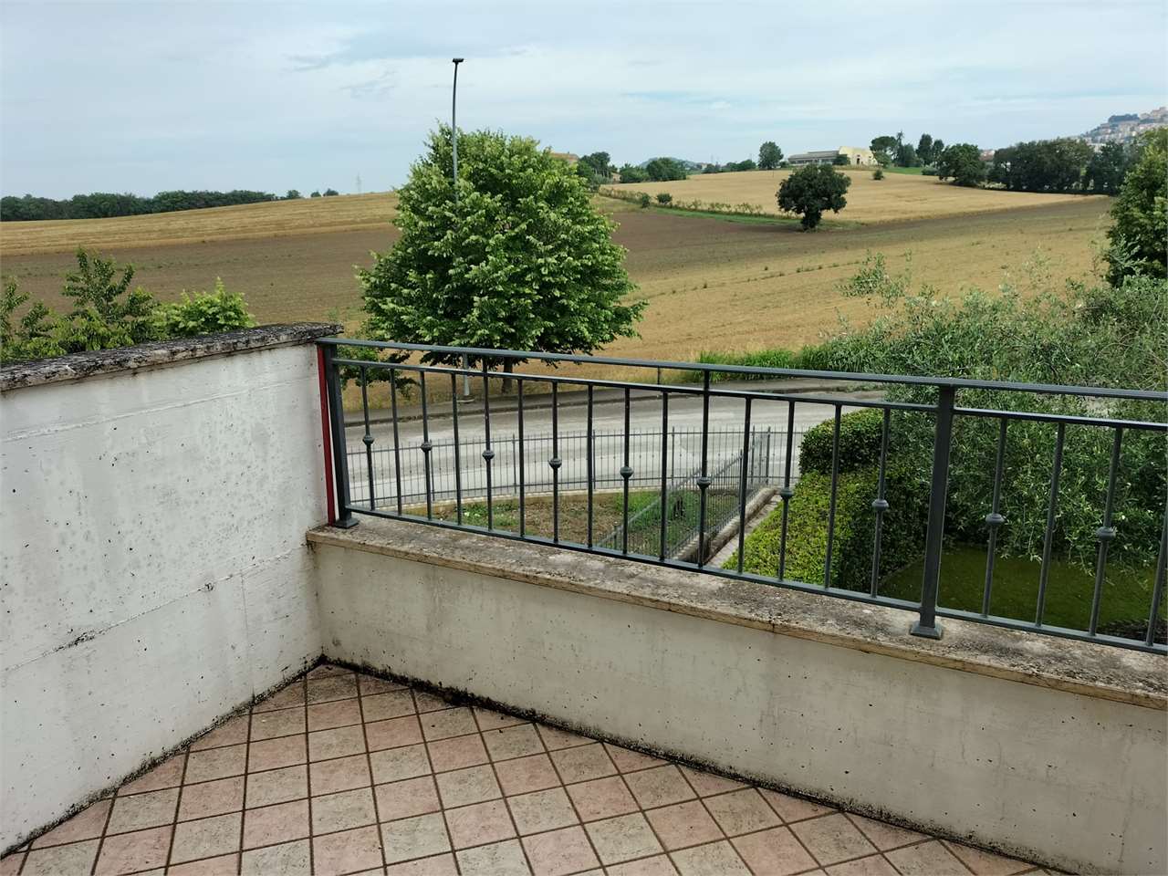 immagine annuncio 4 di 11