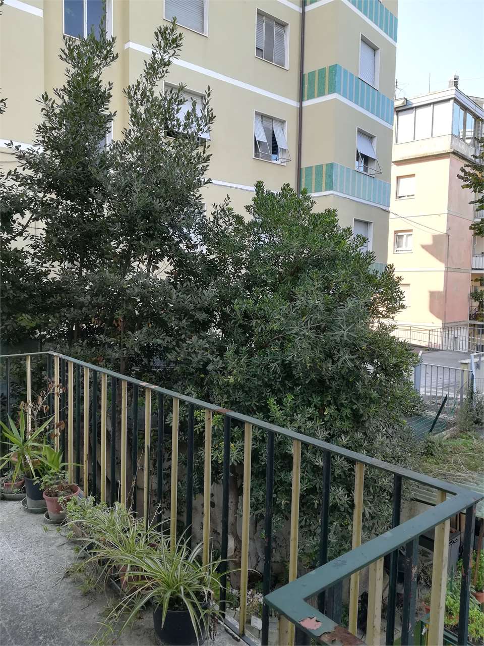 immagine annuncio 3 di 8