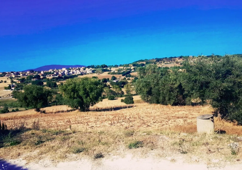 Terreno agricolo in vendita a Castelfidardo (AN)