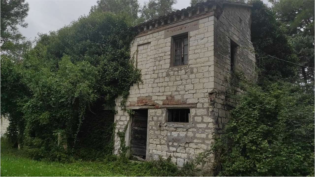immagine annuncio 5 di 10