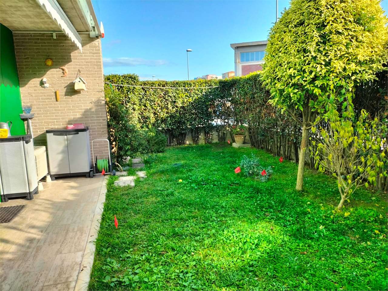 immagine annuncio 11 di 13
