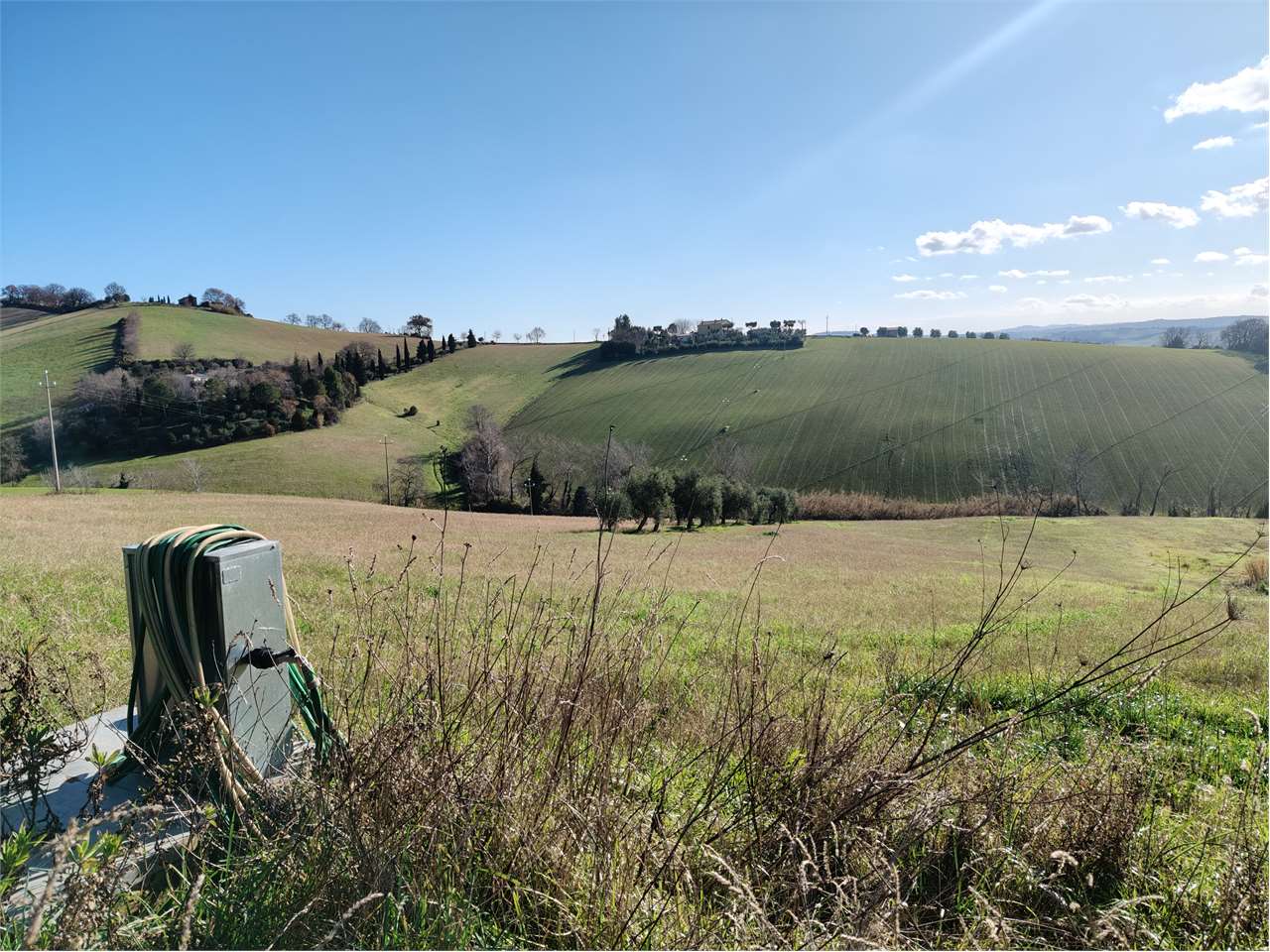 immagine annuncio 2 di 4