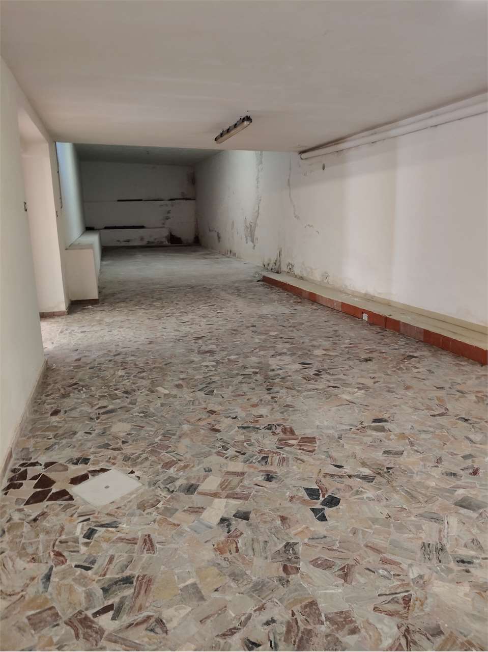 immagine annuncio 1 di 14