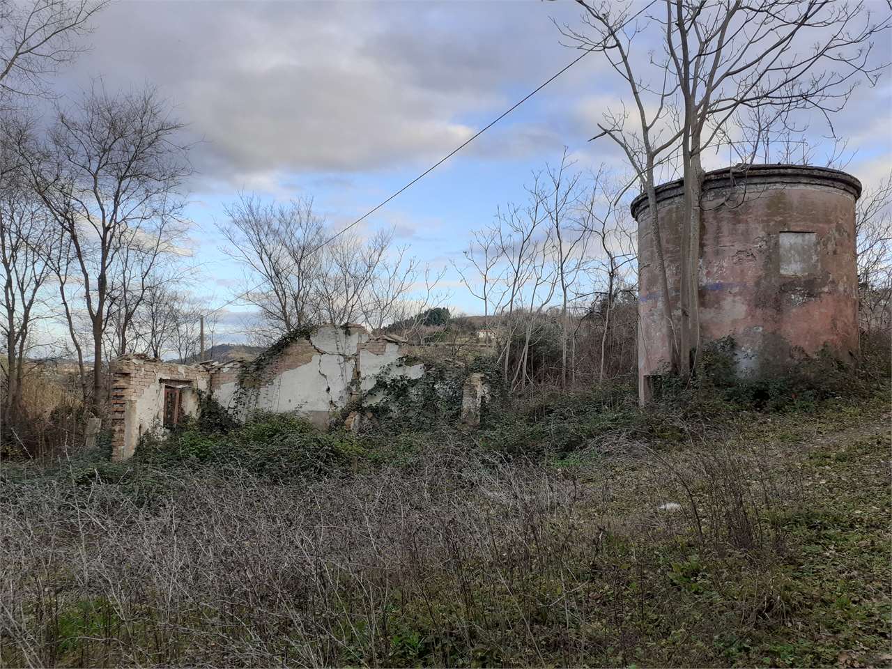 immagine annuncio 1 di 4