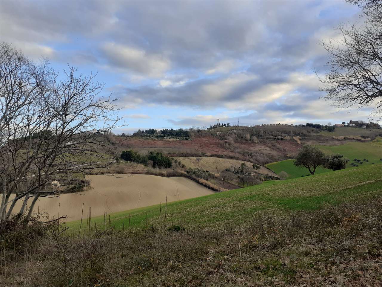 immagine annuncio 2 di 4