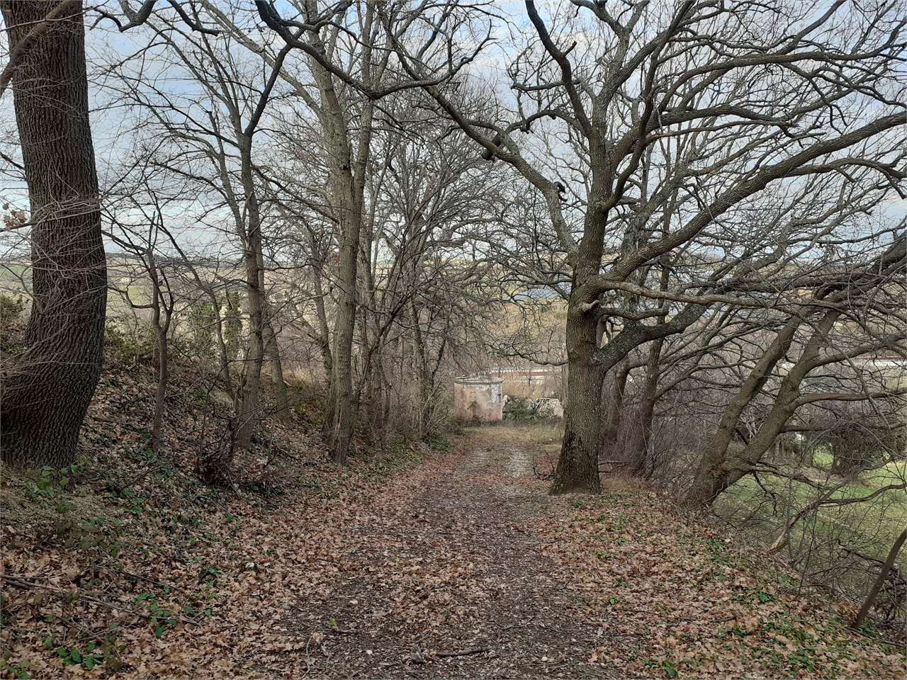 immagine annuncio 3 di 4