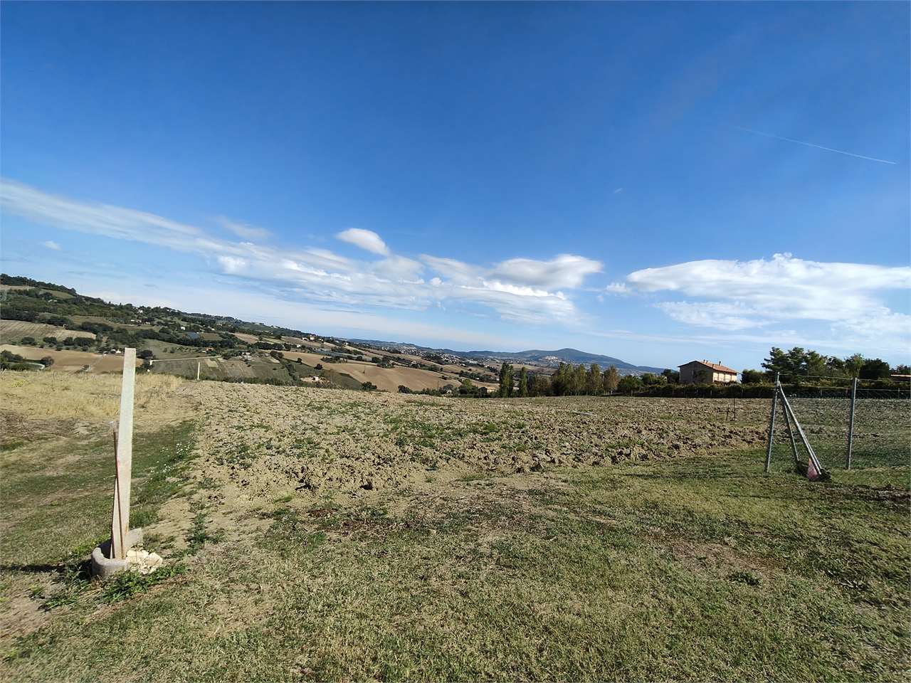 immagine annuncio 5 di 8