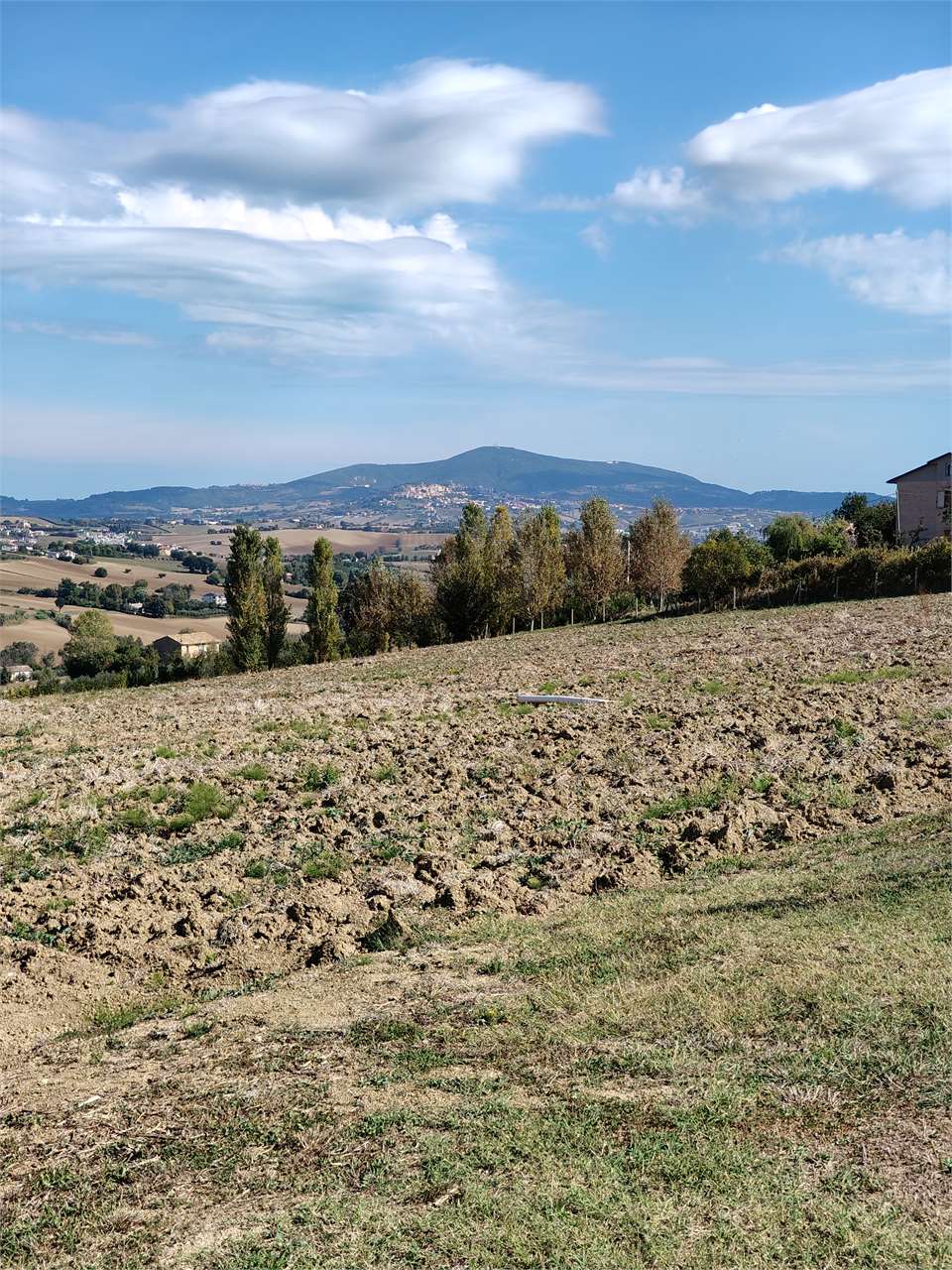 immagine annuncio 4 di 8