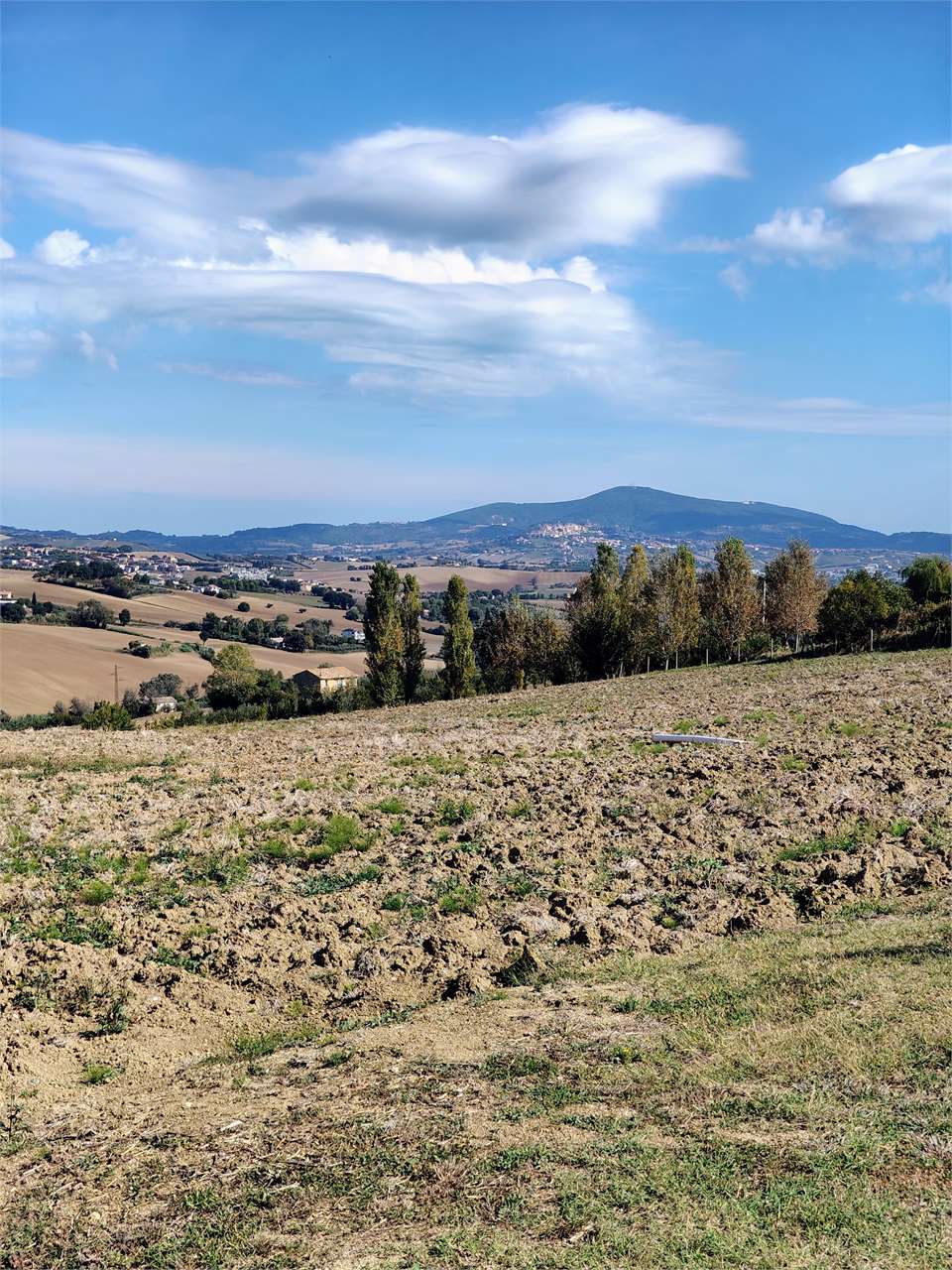 immagine annuncio 6 di 8