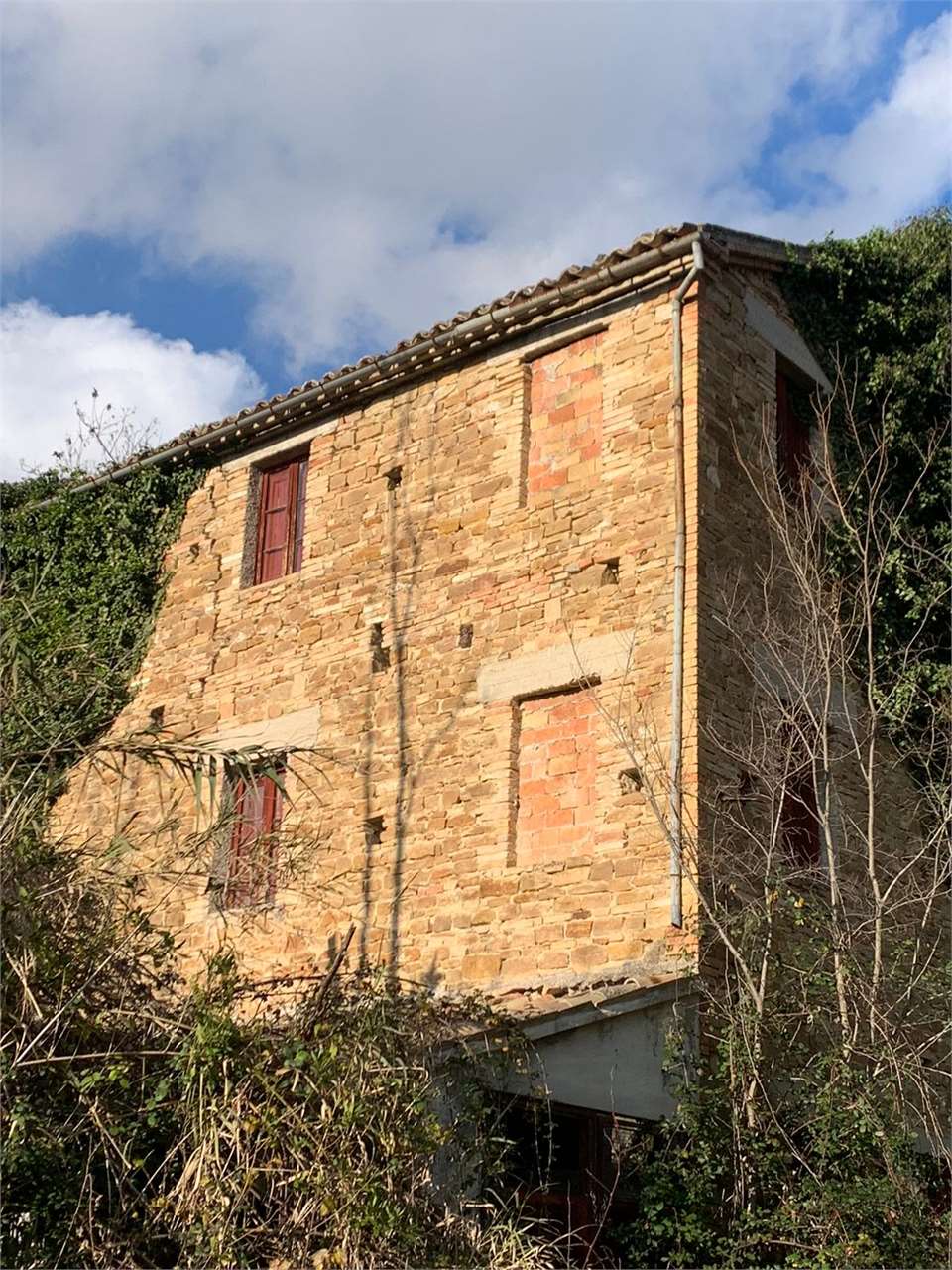 immagine annuncio 2 di 8