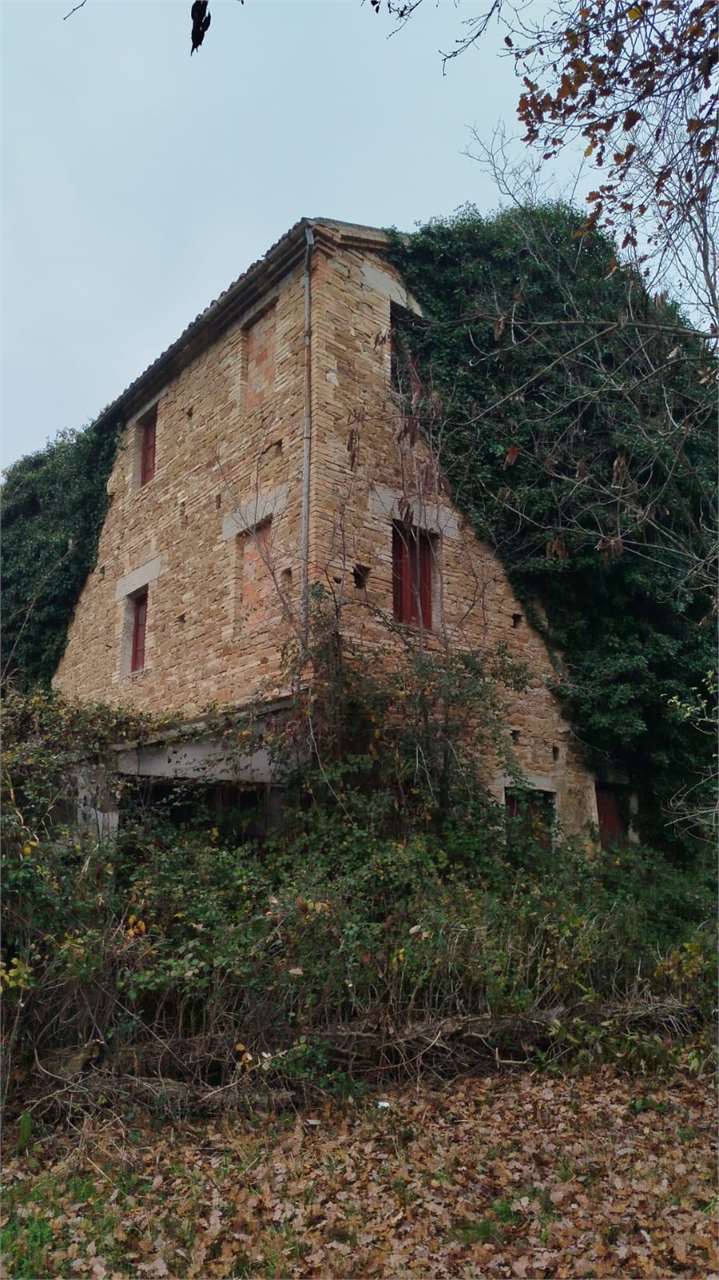 immagine annuncio 3 di 8