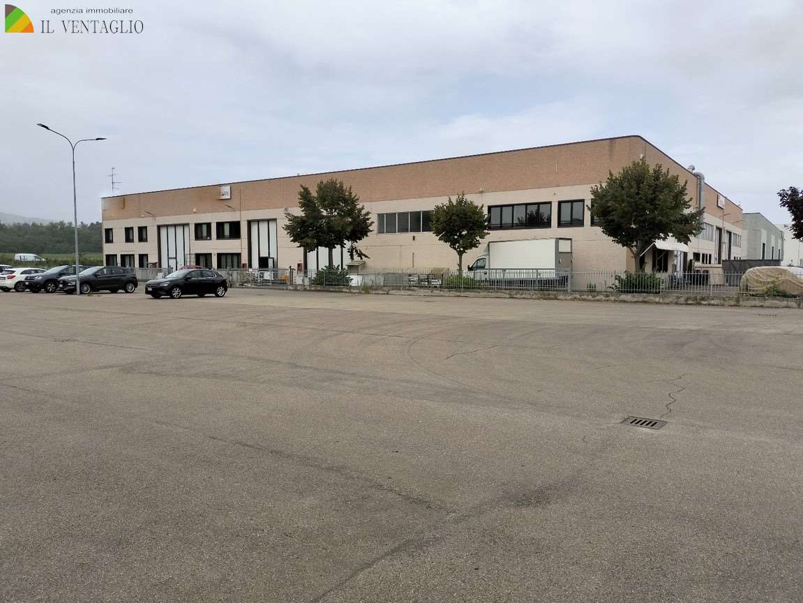 Casalgrande Vendita Capannone