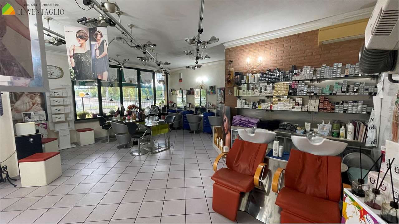 Casalgrande Affitto Negozio