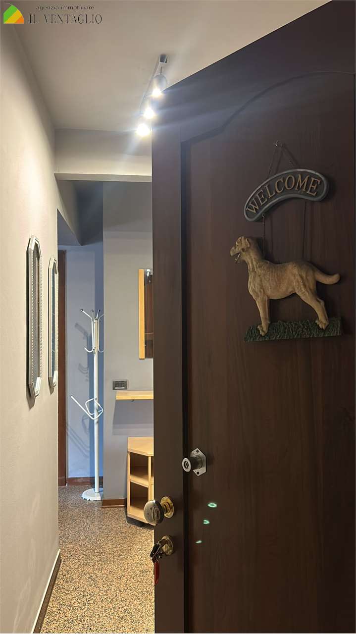 Sassuolo Affitto 1 locale