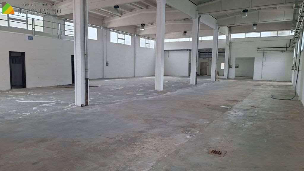Modena Affitto Capannone