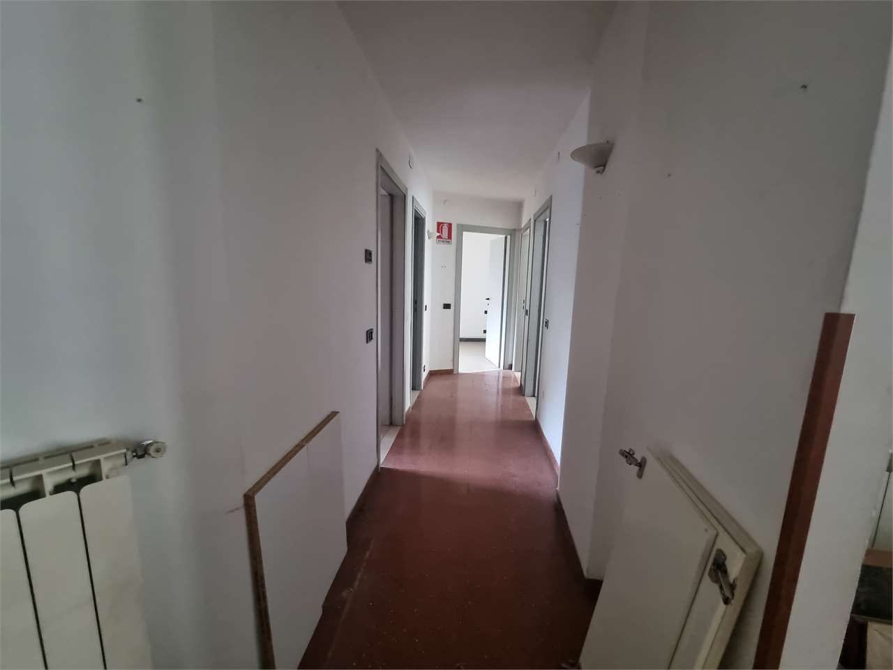 immagine annuncio 6 di 12